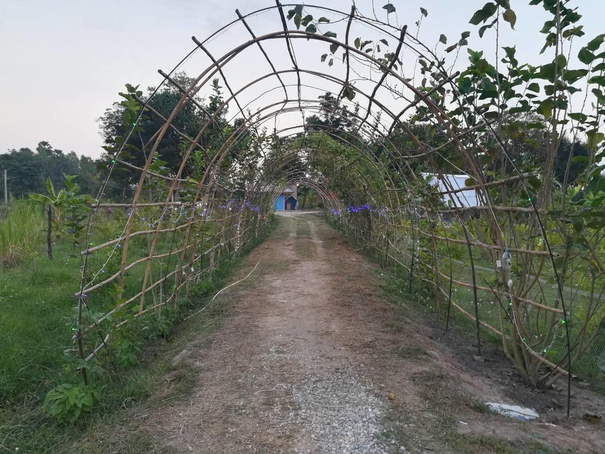Bn Resort Ban Nong Chum Saeng Eksteriør billede